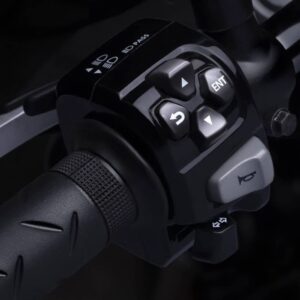 Revolt RV400 Throttle (Handlebar Control Switch RH with TPS)